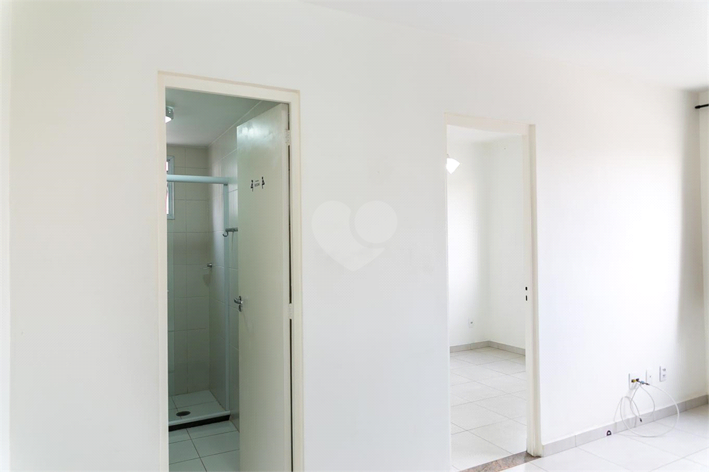 Venda Apartamento São Paulo Cambuci REO895024 3