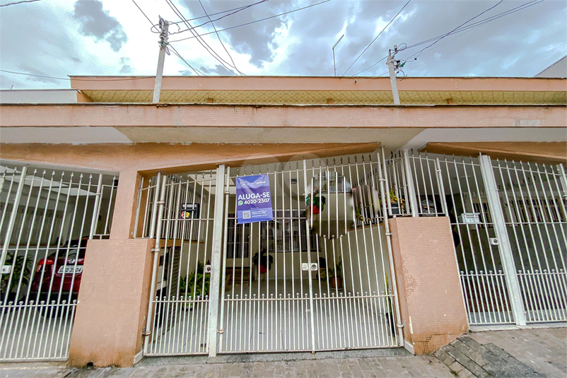 Foto REO895169