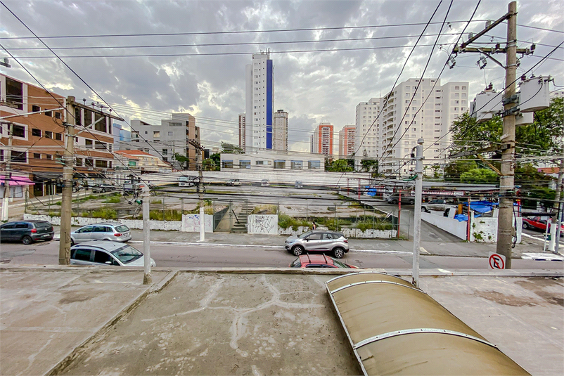 Foto REO895169