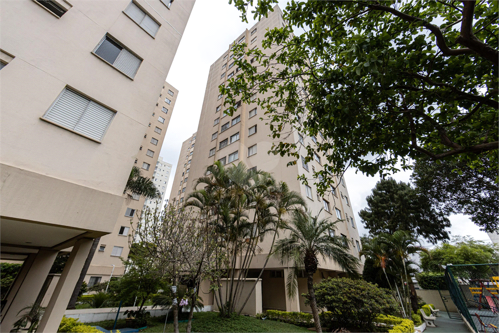 Venda Apartamento São Paulo Brás REO895404 32