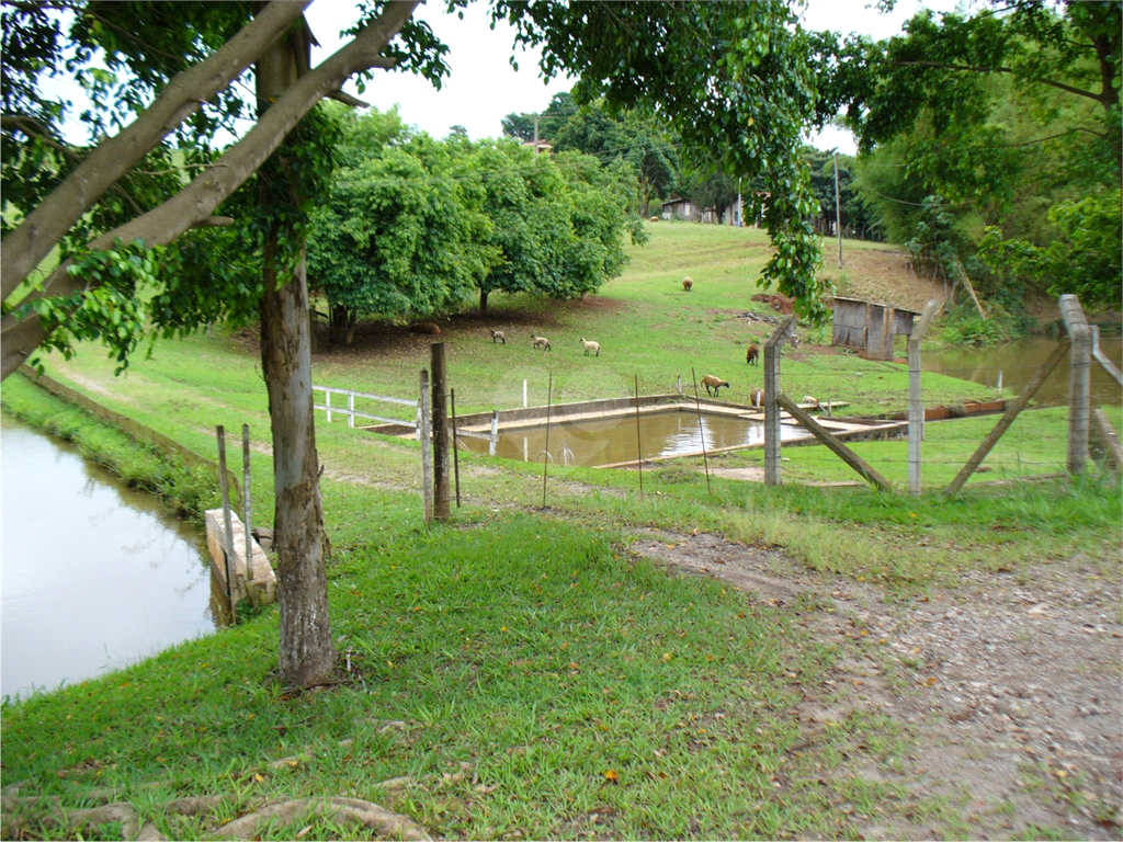 Venda Chácara Rio Das Pedras Área Rural De Rio Das Pedras REO895947 22