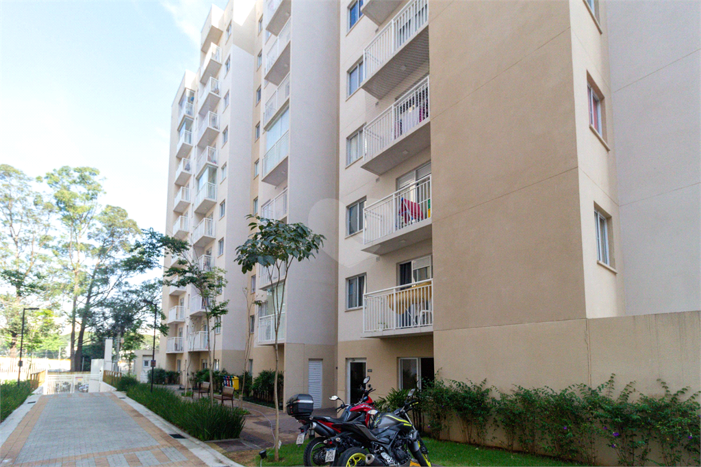 Venda Apartamento São Paulo Cambuci REO896106 37