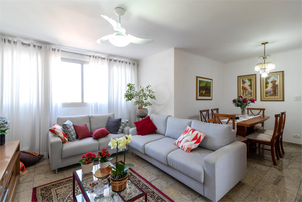 Venda Apartamento São Paulo Vila Paulicéia REO896560 1