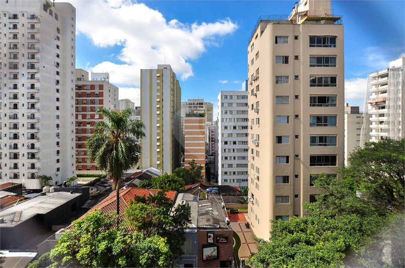 Foto REO896670