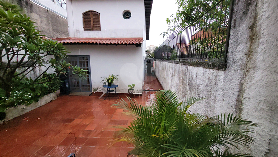 Foto REO896686