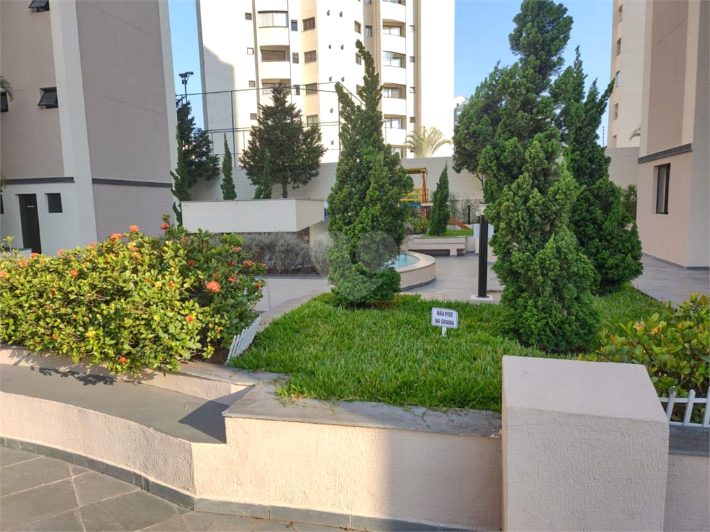 Venda Apartamento São Paulo Vila Monumento REO896831 5