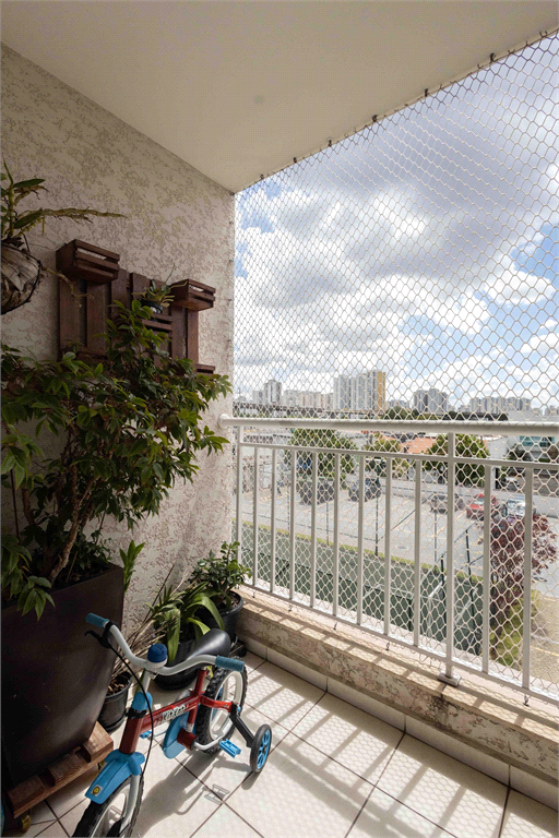 Venda Apartamento São Paulo Guaiaúna REO897790 5