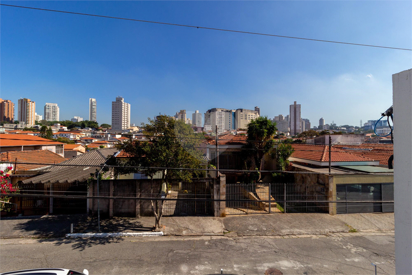Foto REO897912