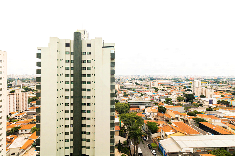 Foto REO898136