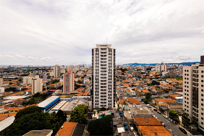 Foto REO898136