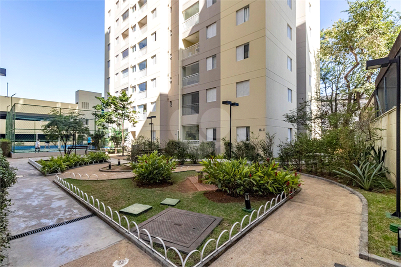 Venda Apartamento São Paulo Cambuci REO898695 42