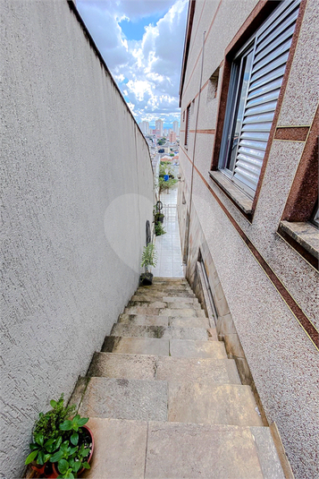 Foto REO898755