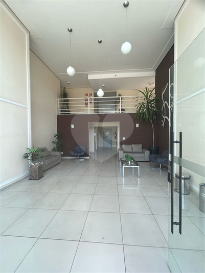 Foto REO898762