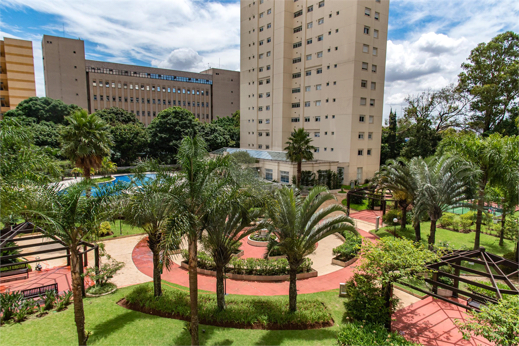 Venda Apartamento São Paulo Cambuci REO898781 29