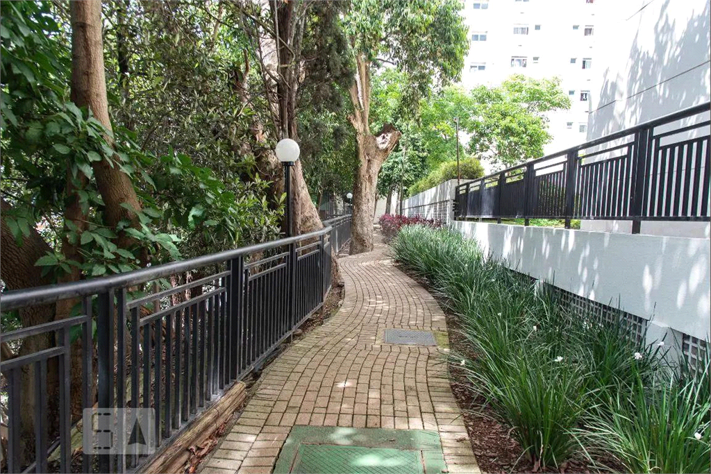 Venda Apartamento São Paulo Cambuci REO898781 91