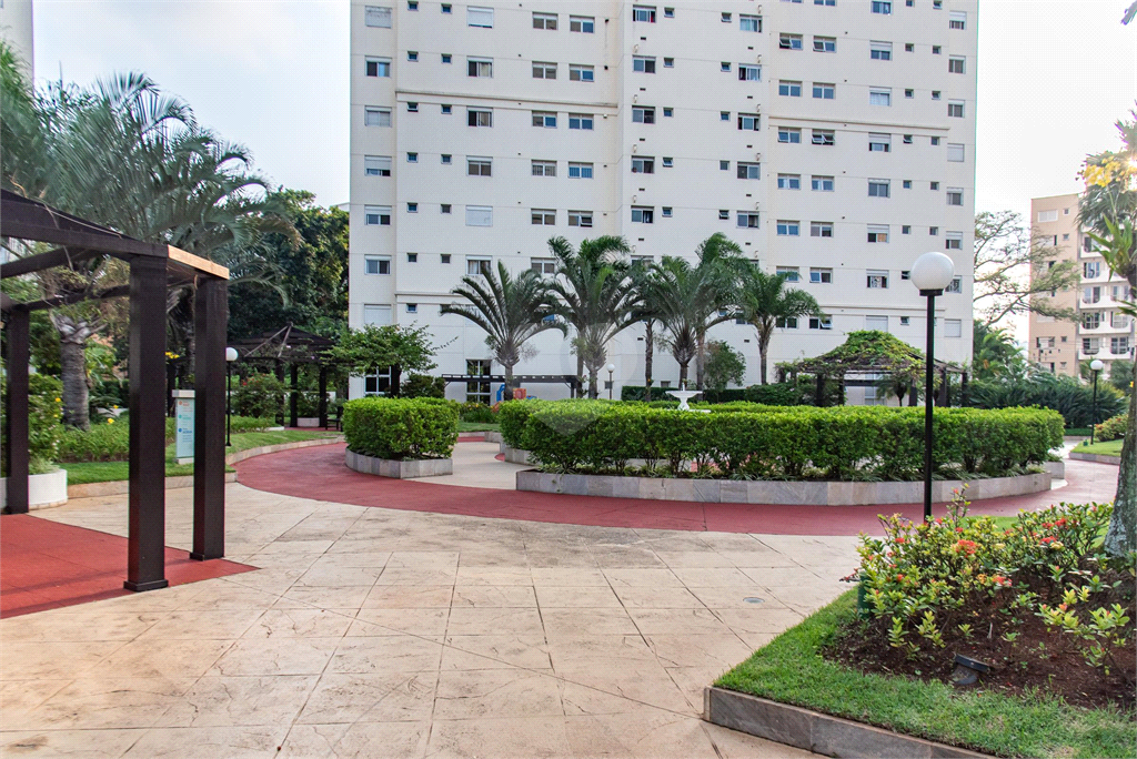 Venda Apartamento São Paulo Cambuci REO898781 81