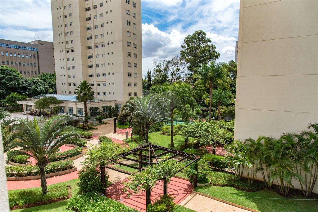 Venda Apartamento São Paulo Cambuci REO898781 39