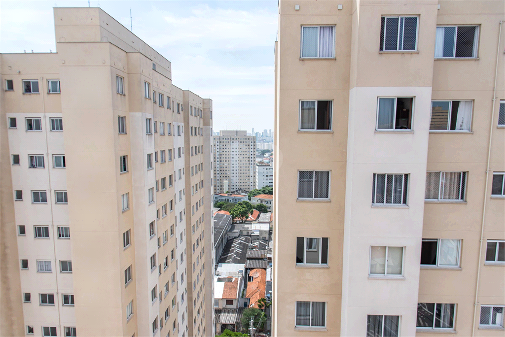 Venda Apartamento São Paulo Cambuci REO898936 4