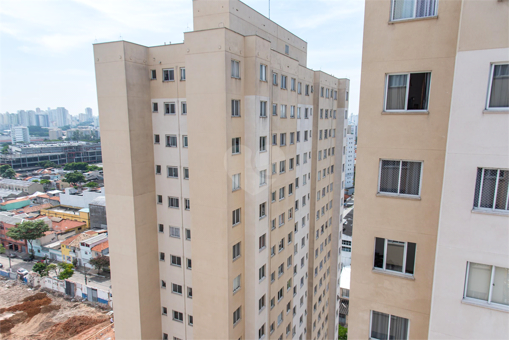 Venda Apartamento São Paulo Cambuci REO898936 9