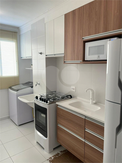 Aluguel Apartamento São Paulo Brás REO899180 10