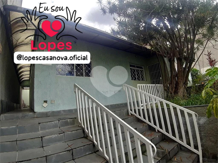 Foto REO899496
