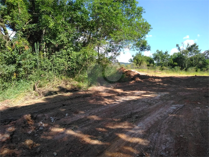 Foto REO899702