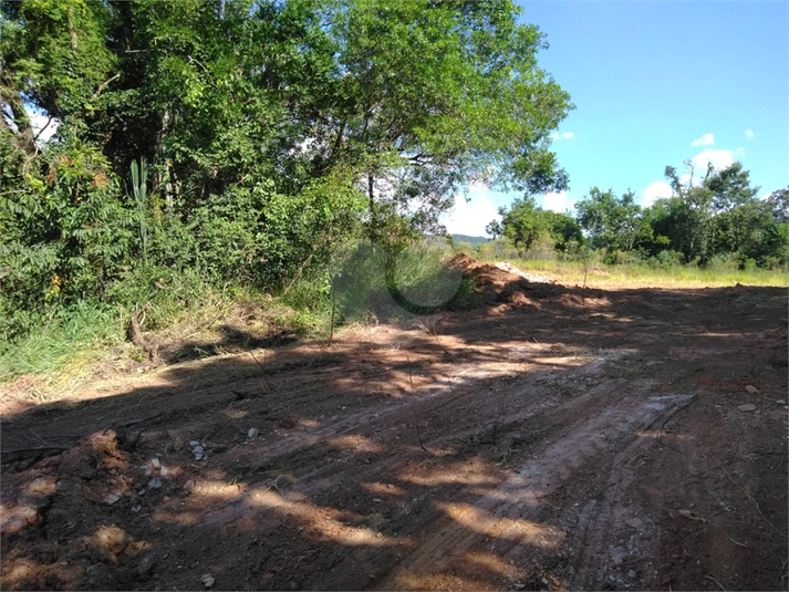 Foto REO899702