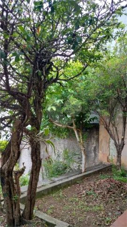 Venda Casa São Paulo Vila Bertioga REO899875 5