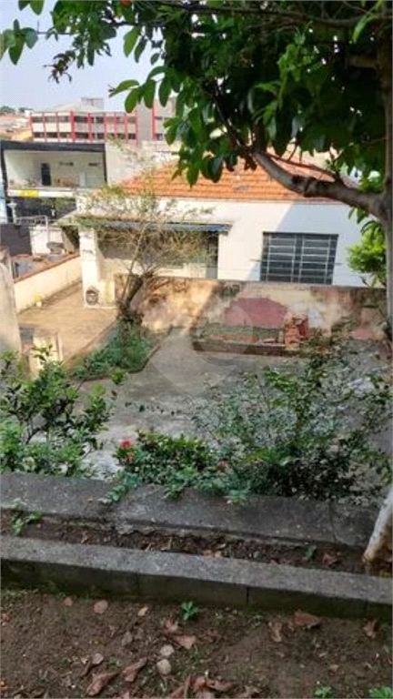 Venda Casa São Paulo Vila Bertioga REO899875 2