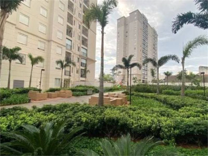 Venda Apartamento São Paulo Cambuci REO899914 14