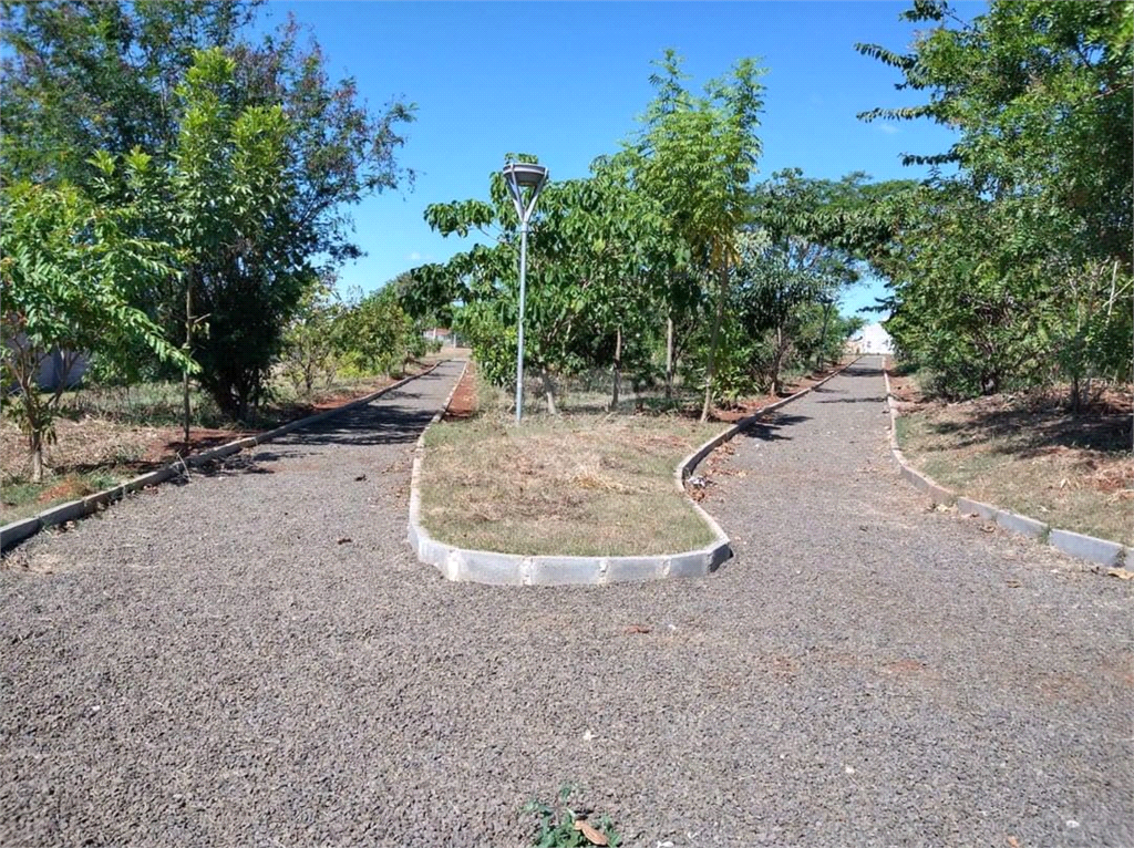 Venda Condomínio Paulínia Vila Monte Alegre REO900064 14