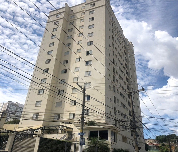 Aluguel Apartamento São Paulo Santa Teresinha REO900257 1