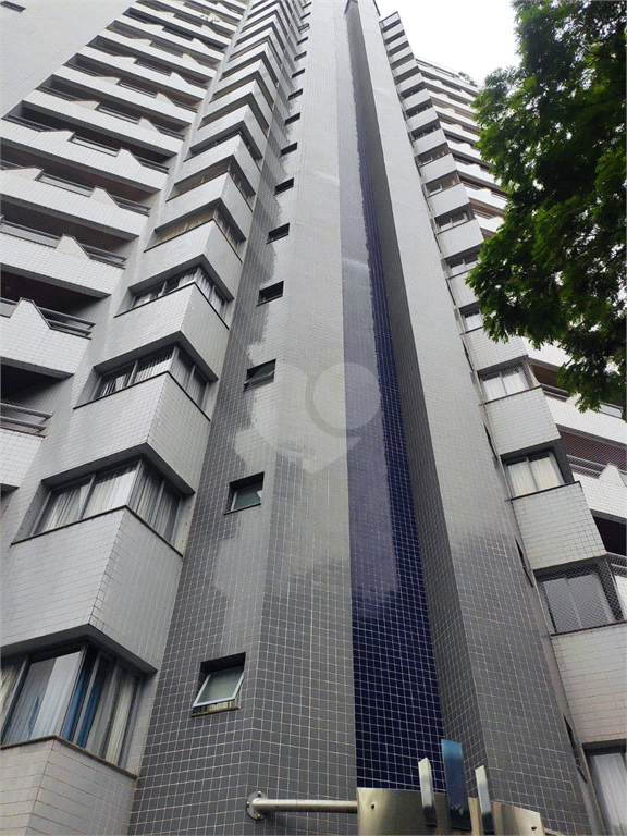 Venda Apartamento São Paulo Vila Paulicéia REO900373 1