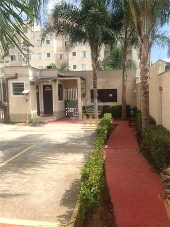 Venda Apartamento São José Dos Campos Jardim América REO900454 19