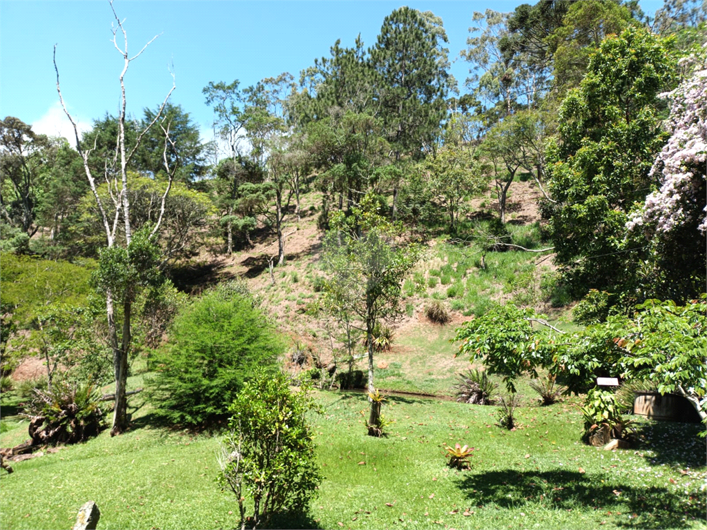 Venda Sítio Santo Antônio Do Pinhal Centro REO900529 15