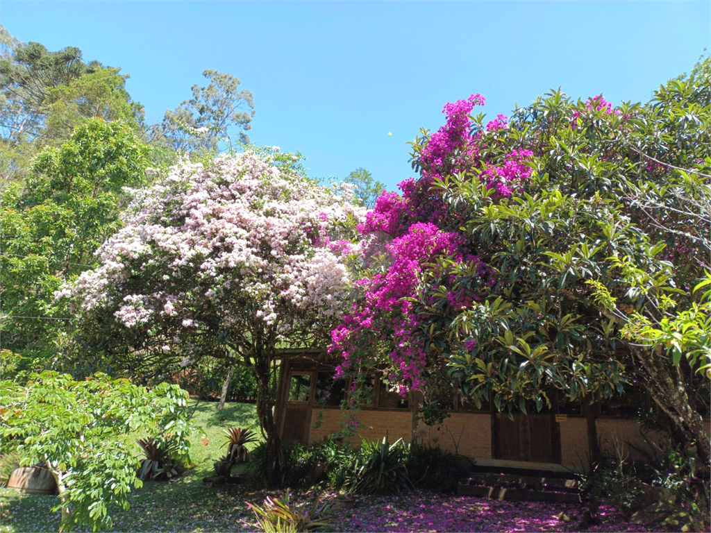 Venda Sítio Santo Antônio Do Pinhal Centro REO900529 14