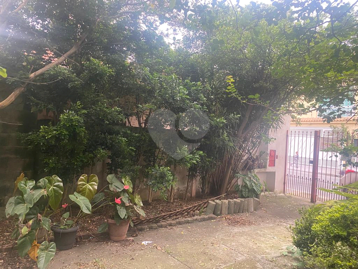 Venda Terreno São Paulo Vila Constança REO901235 3