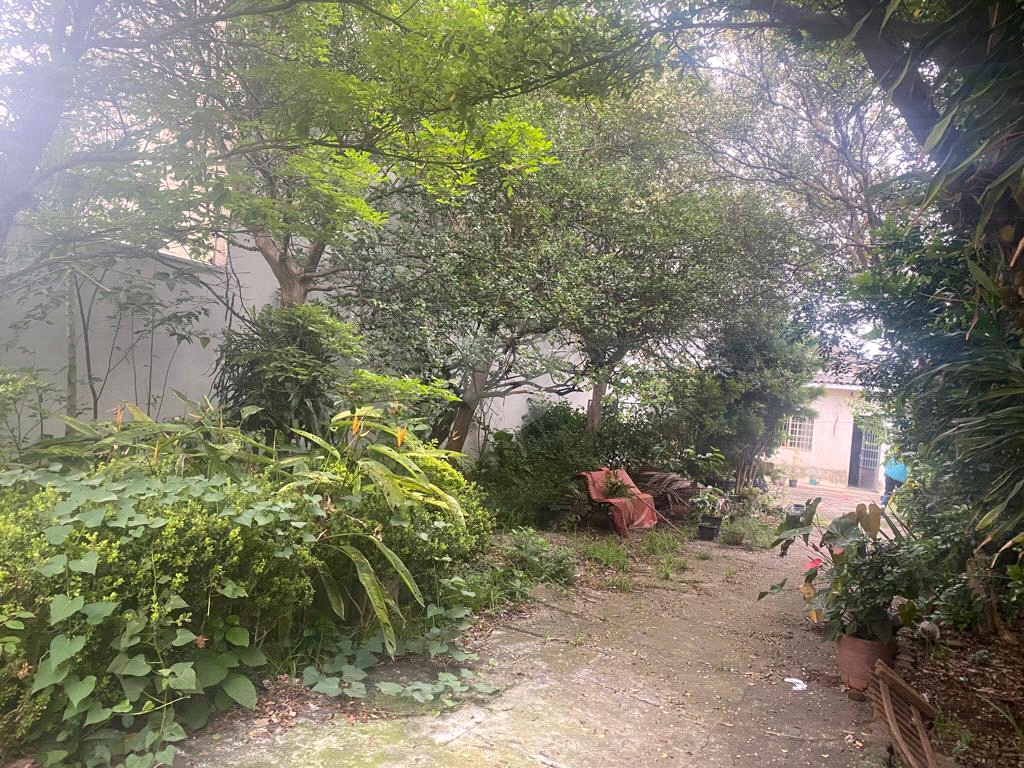 Venda Terreno São Paulo Vila Constança REO901235 3