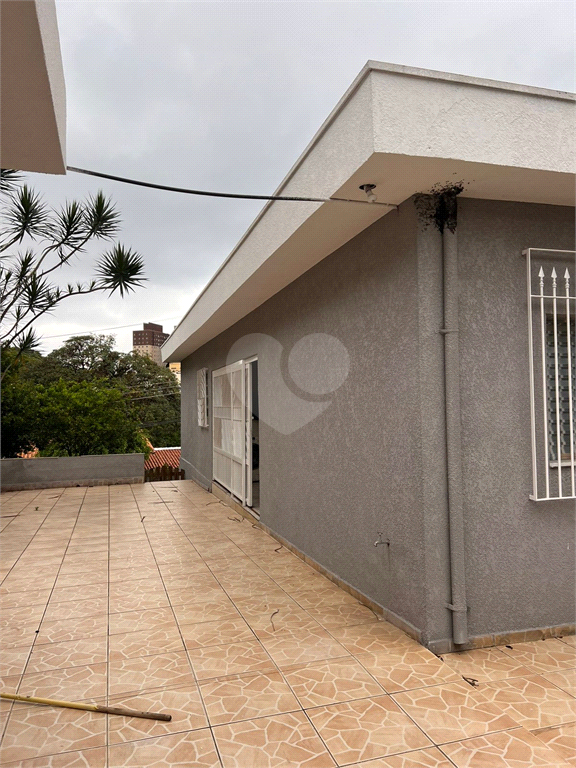 Foto REO901256