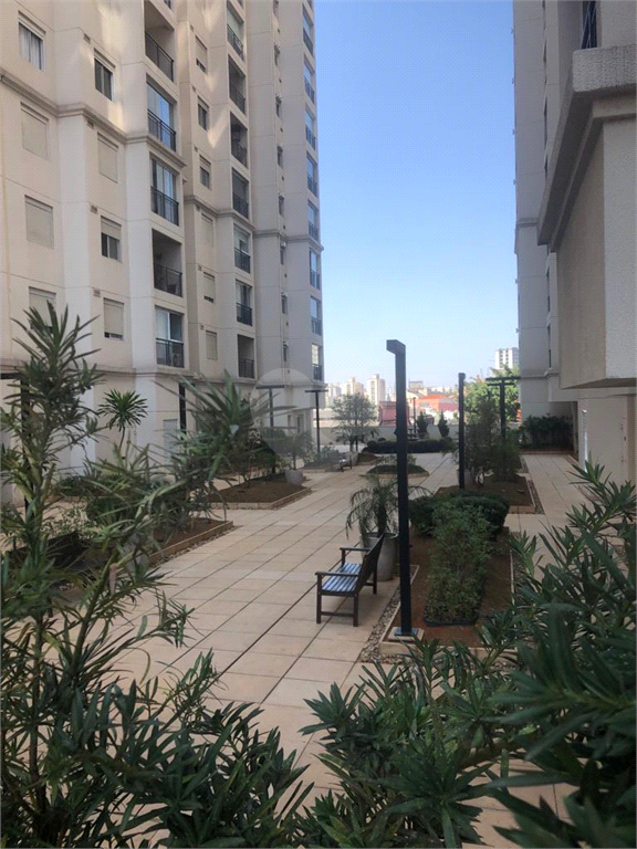 Venda Apartamento São Paulo Brás REO901327 19