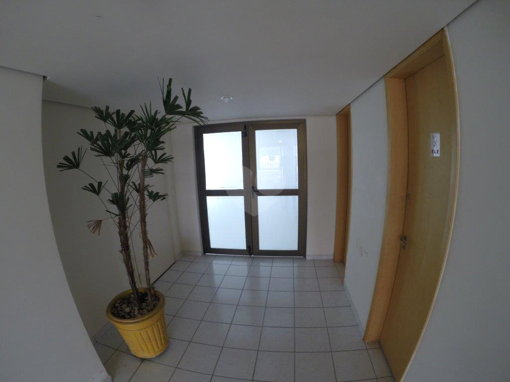 Venda Apartamento Campinas Jardim Planalto REO901663 7