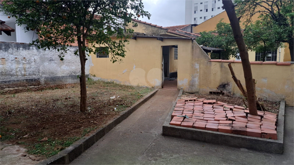 Venda Casa São Paulo Jardim Monte Kemel REO902047 12