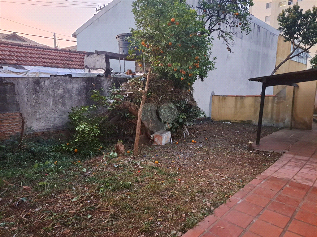 Venda Casa São Paulo Jardim Monte Kemel REO902047 6