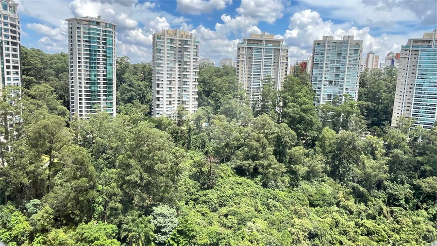 Aluguel Apartamento São Paulo Jardim Morumbi REO90212 7