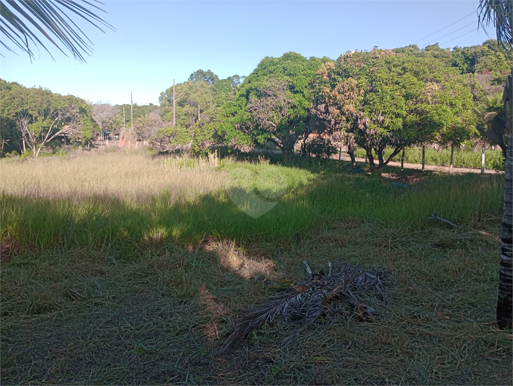 Venda Sítio Vila Velha Área Rural De Vila Velha REO902286 10