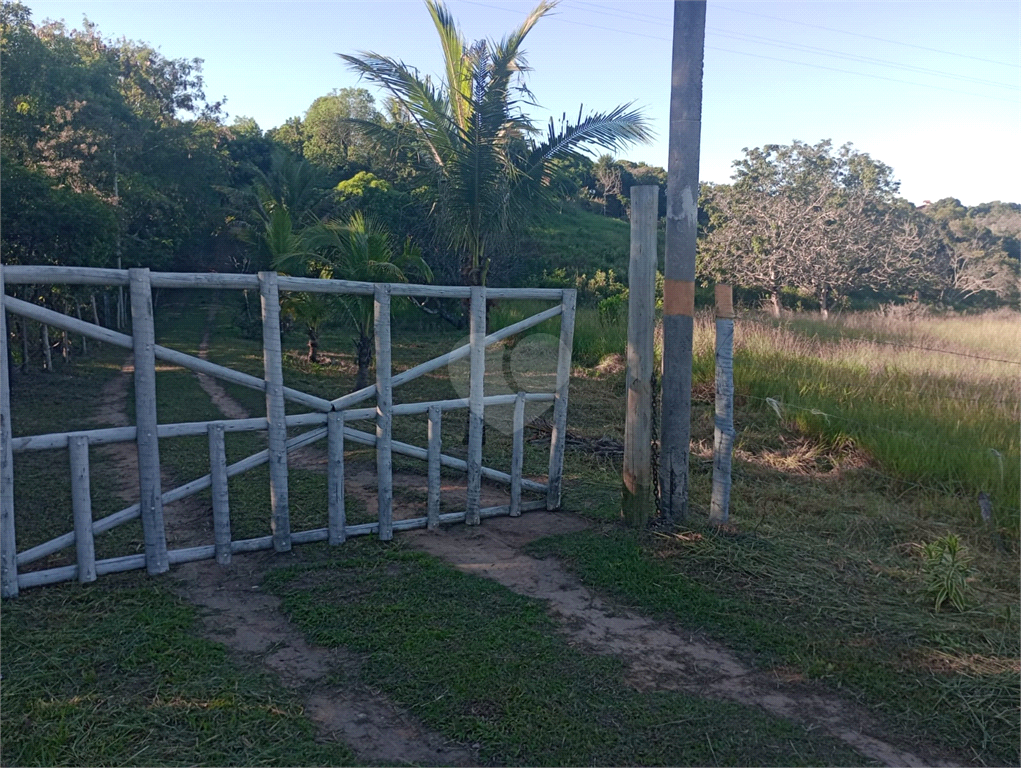 Venda Sítio Vila Velha Área Rural De Vila Velha REO902286 6