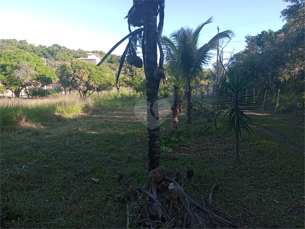 Venda Sítio Vila Velha Área Rural De Vila Velha REO902286 9