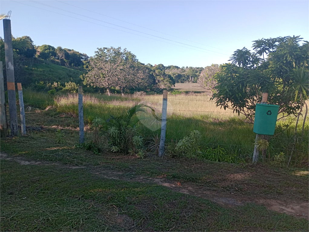 Venda Sítio Vila Velha Área Rural De Vila Velha REO902286 5