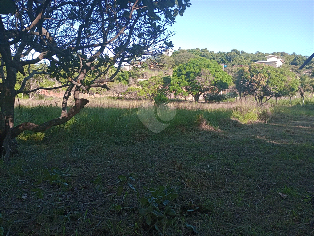 Venda Sítio Vila Velha Área Rural De Vila Velha REO902286 3