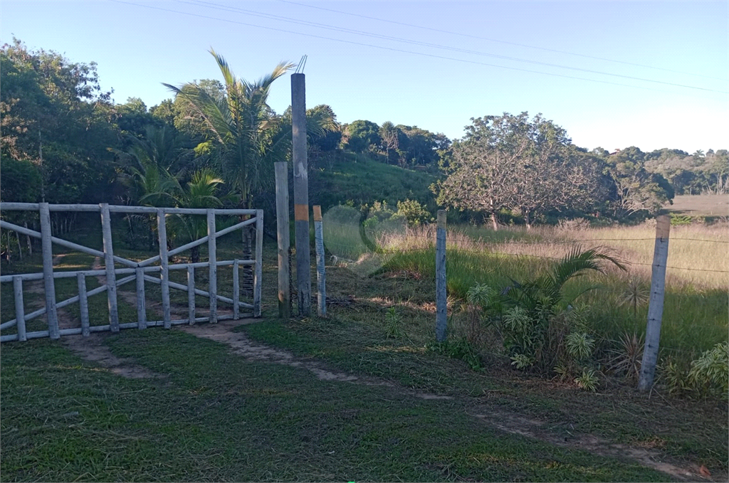 Venda Sítio Vila Velha Área Rural De Vila Velha REO902286 15